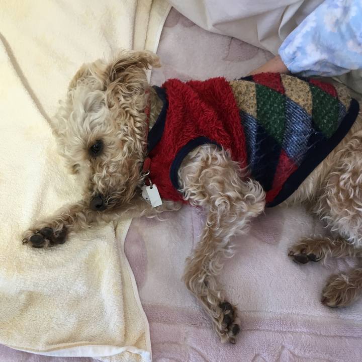 B5d6435e a4b9 40c6 b33f 97c25cffe2a0