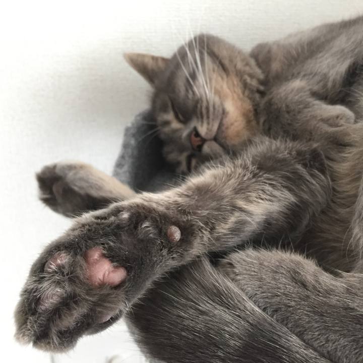 B5d7cb69 20fe 442e 9eee 4356a5065e8a