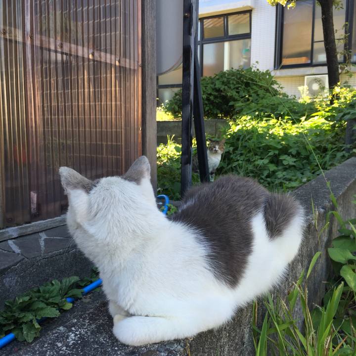 B5d857d9 5112 4187 9716 a7ac15e1f148