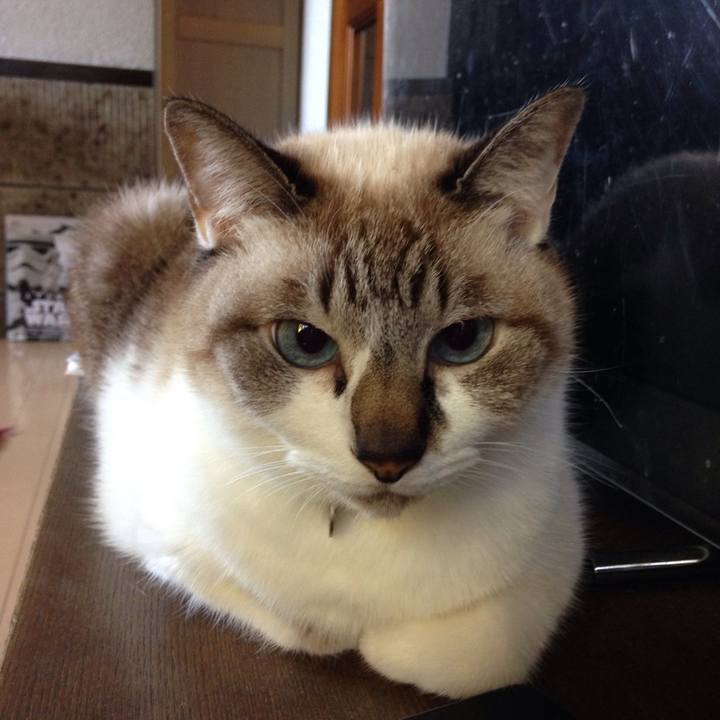 B5d86102 974d 40ec 93b7 8a310afae512