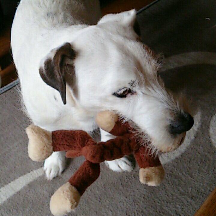 B5d8a27c 885f 4feb adc8 d337b3f53870