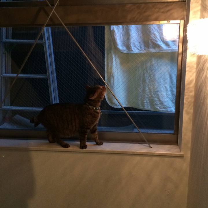 B5d8f0b2 34d4 48a9 b06f 7fb29dda2808