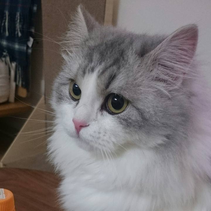 B5d999f6 eba7 4dcd a088 905392b5ba97