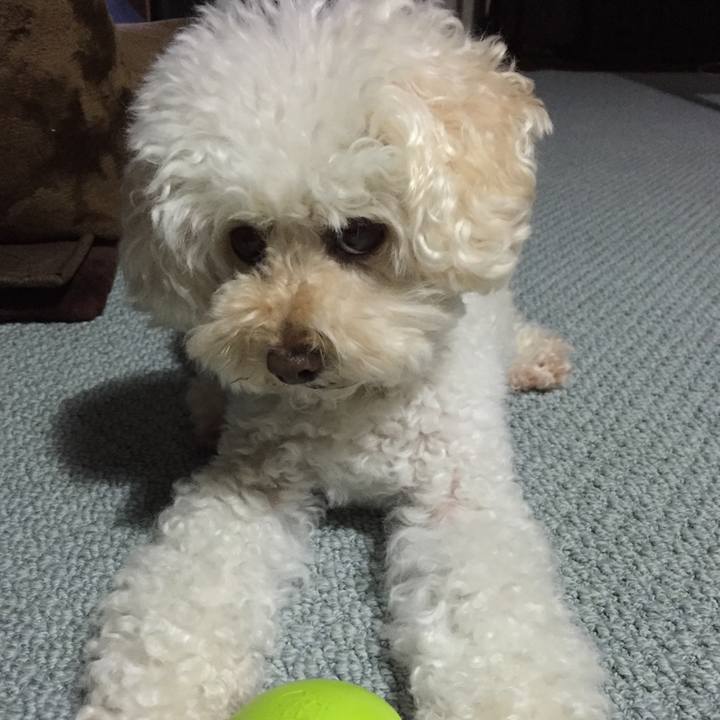 B5d9fd83 908c 4839 87fc bb15c16b8288