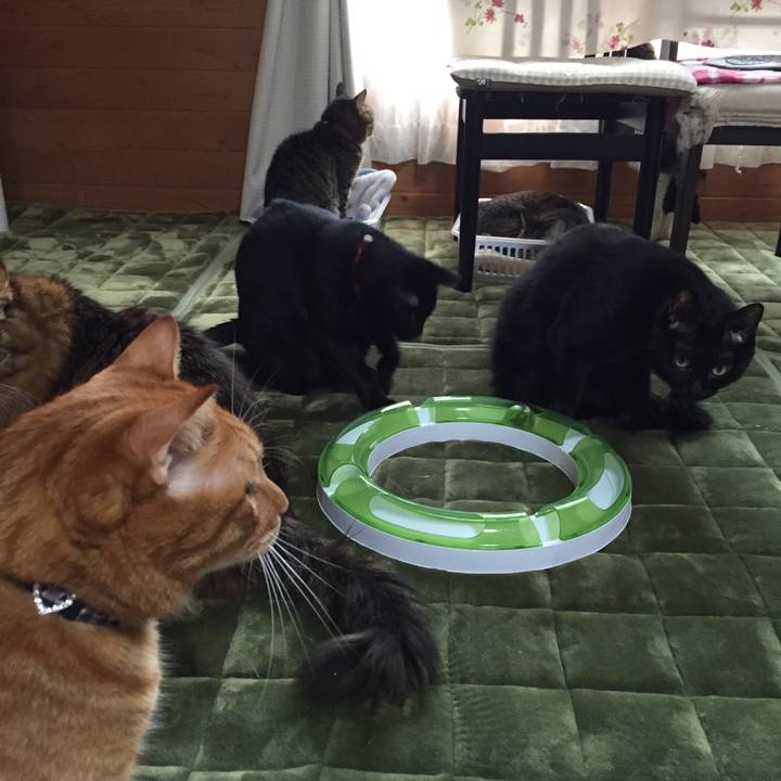 B5db271d 4f7a 482c 9da7 c3c6be153c82