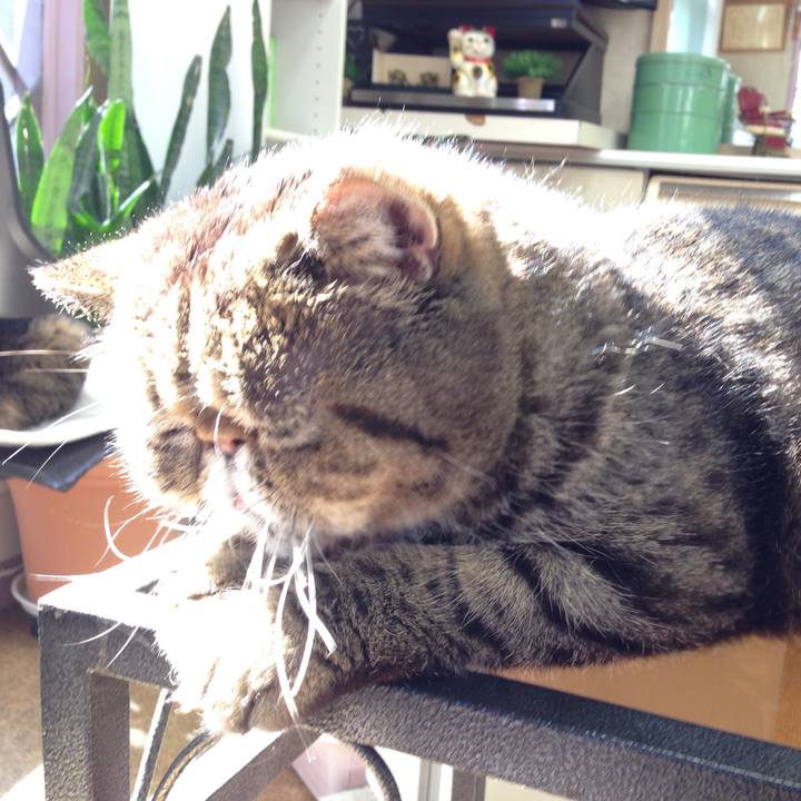 B5dbb402 eb73 49c0 887a b7c3ffac3919