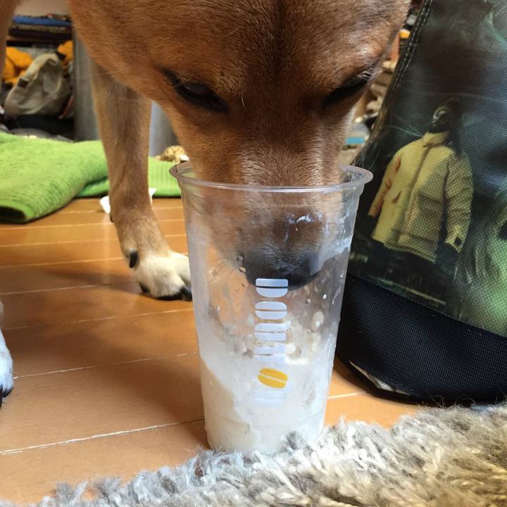 B5dbe5f6 41b7 4511 ab93 8d3a94cedca7