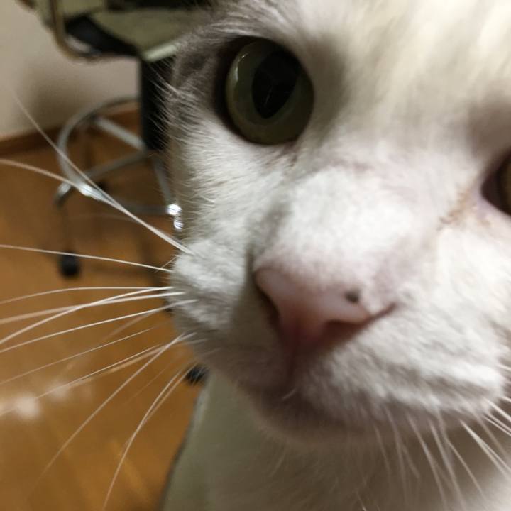 B5dcb6b3 c8aa 4275 9908 365cc965e89c