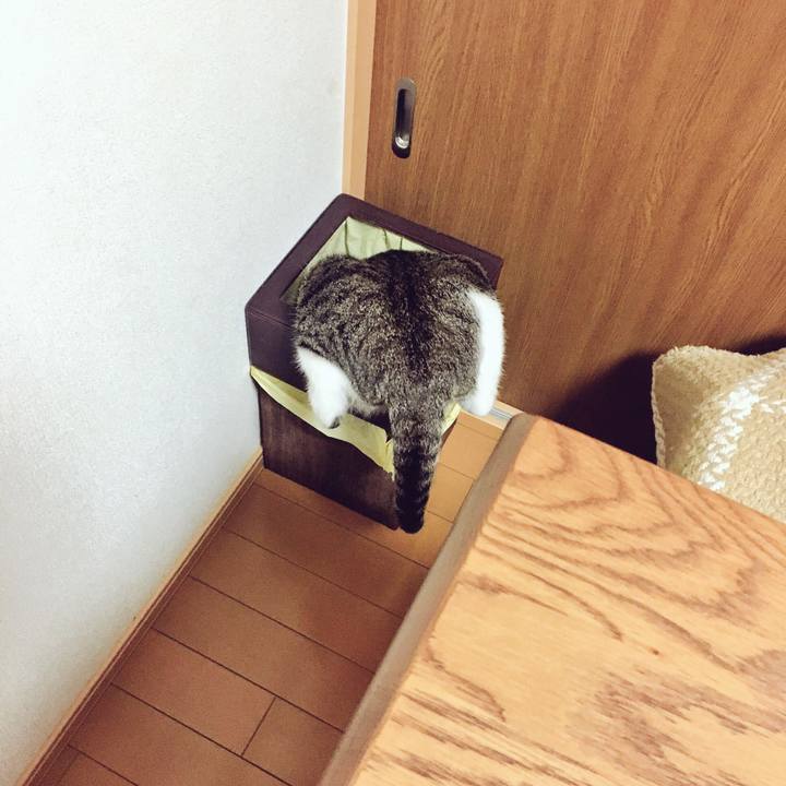 B5ddf305 26c5 4460 b0ff 4fc949593874