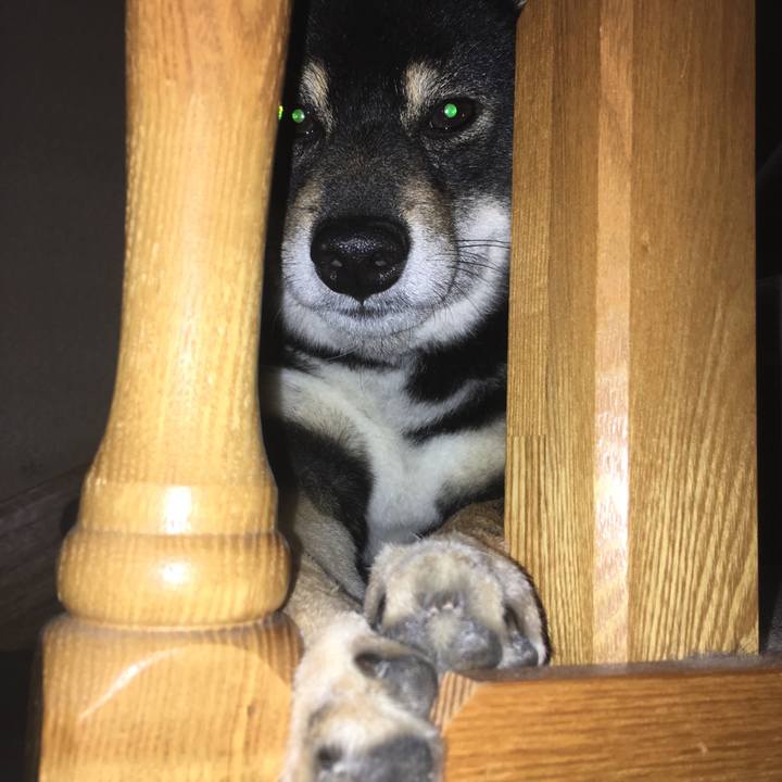 B5dea5b7 8daa 4b90 986e 0ed3bbed8663