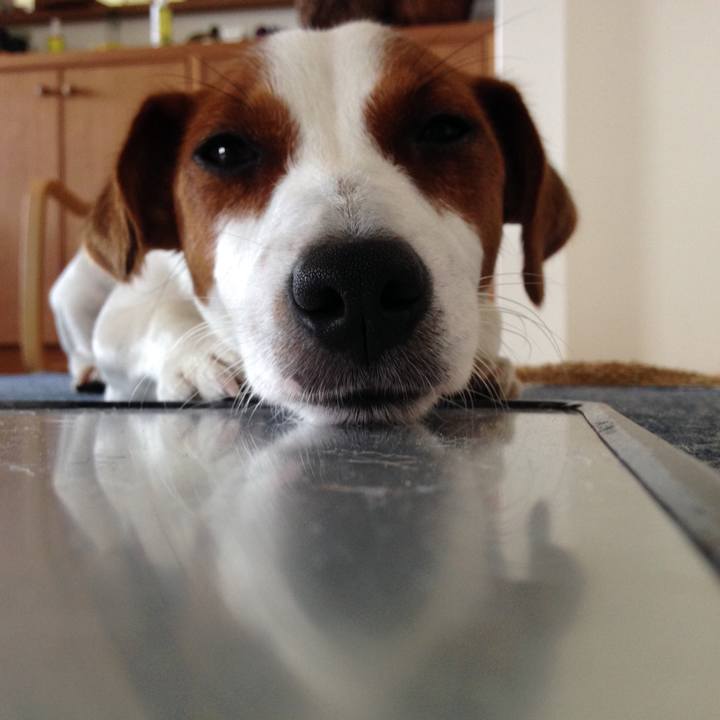 B5deb70b c8b2 4226 a732 d3b6f94be81b