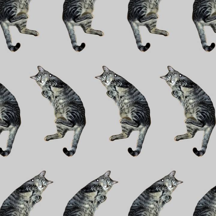 B5df0726 7520 418d 8939 6d3193a84cb8