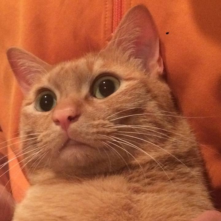 B5df3114 e5db 4f46 9adb 26febd3c2a37