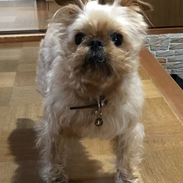 B5df9109 414d 458b ac05 8f547b71bb5a