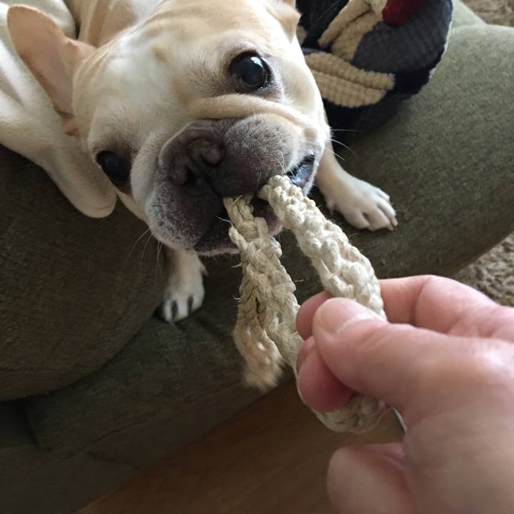 B5e0b924 e6ce 471c 9f1f cf061eabac06