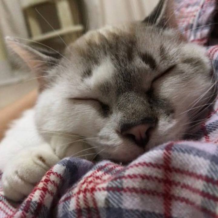 B5e0ffec d95f 4bdc 961c 8f0112734e3d