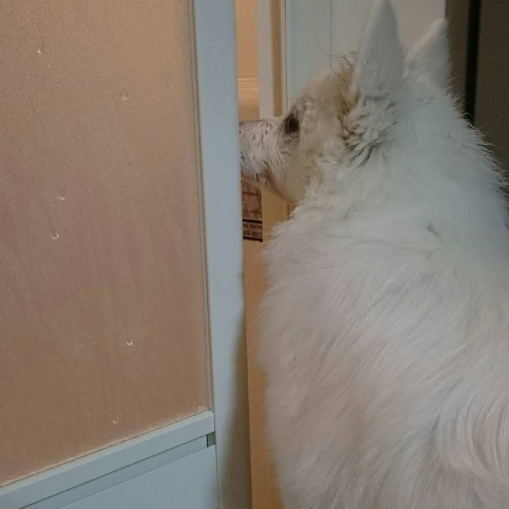 B5e120a9 5bf0 4d6a b722 61e82c2af25a