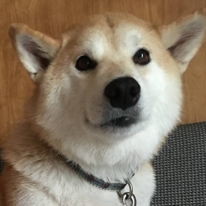 B5e131bf 5901 4db3 82ac 7deff8d6f74c