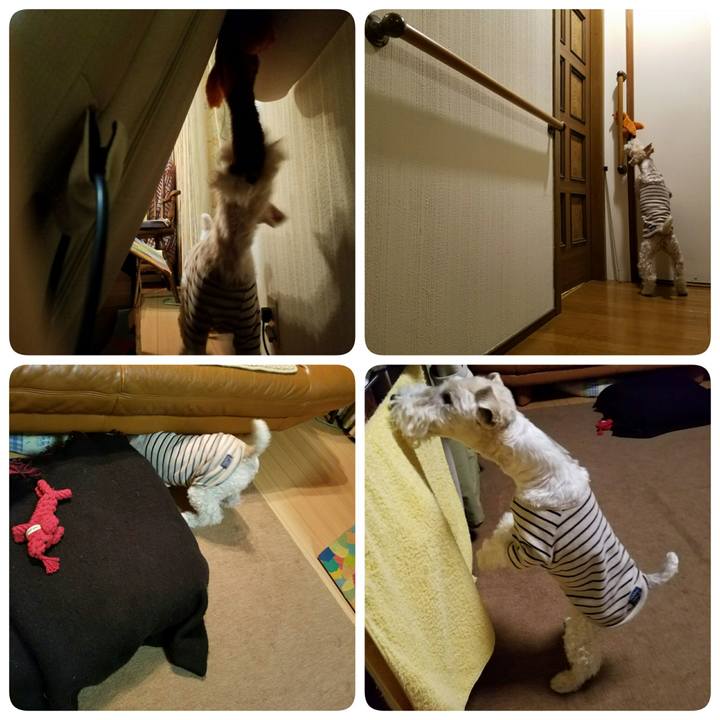 B5e42786 75a3 4406 952c cff8d5b2ca33