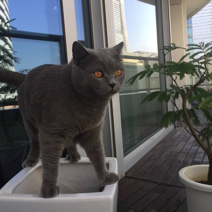 B5e4a552 2d80 4d50 9c39 87ff8d9e8000