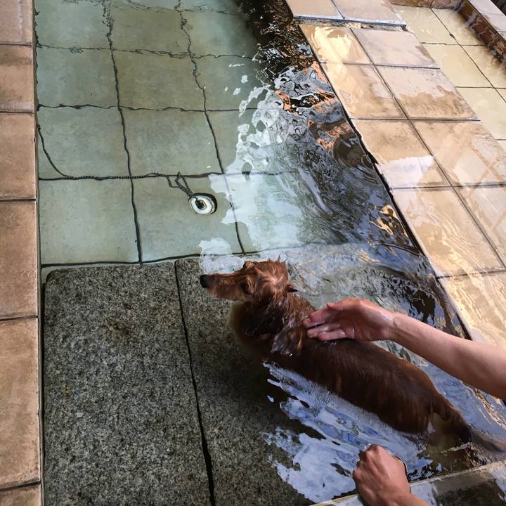 B5e515f7 22b5 4b1b ac0f aac8dff7fda9