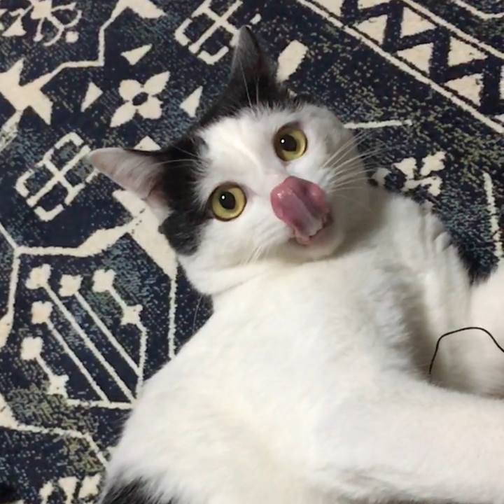 B5e534e1 3b31 4549 89a8 6b21ba1ed25e