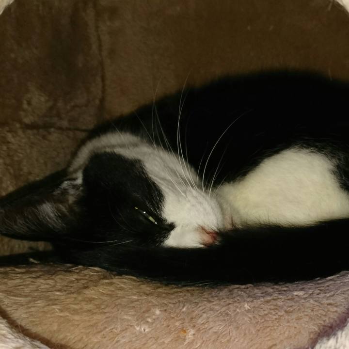 B5e53ee6 ea06 4446 a844 7ca851031bfb