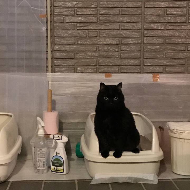 B5e5de86 bf08 4c3f b5d3 43588af85283