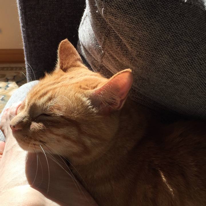 B5e6e25f ee6e 4361 a958 3ff7452e3b49