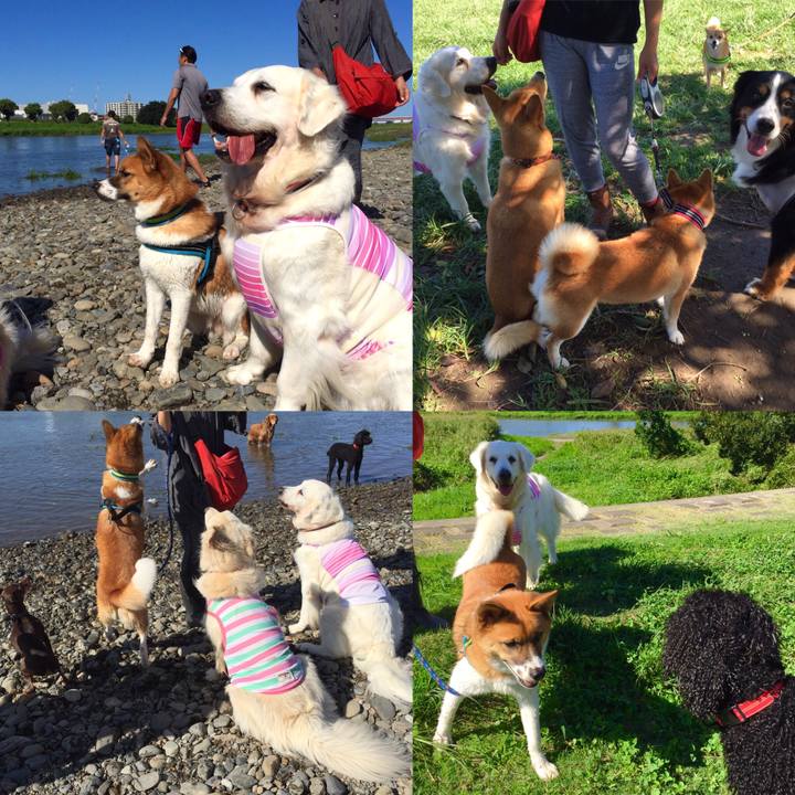 B5e75497 9368 4d40 91a0 29e47519a551