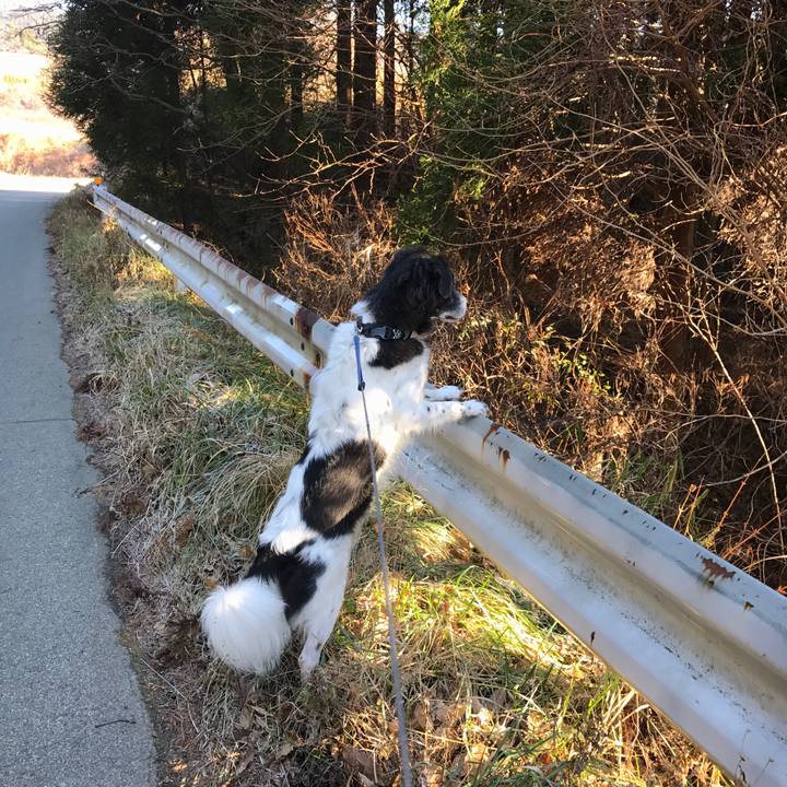 B5e7a68f f3c6 42c7 8bff 813e29e7d37a