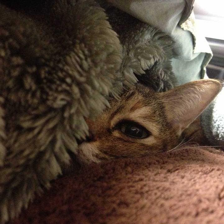 B5e7ae56 4297 4277 97c6 44b2ccefa4f6