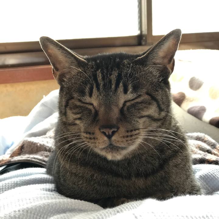 B5e7e60d b865 4c6a a629 cfb6ddb44f26