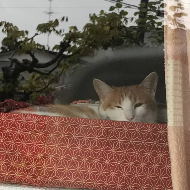 B5e917c6 4fa3 4387 97b3 dbeb3d9de600