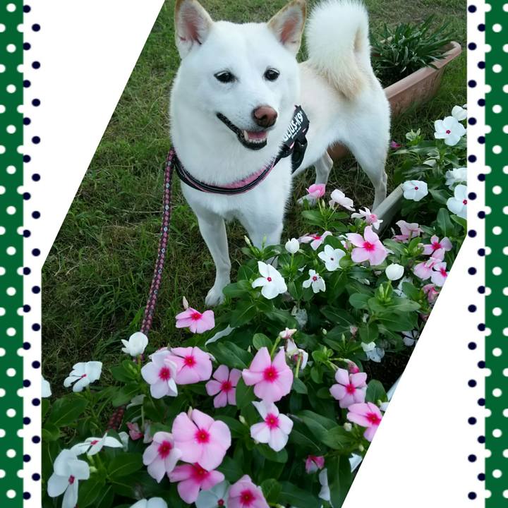 B5e94456 1136 4c12 92cc 33512ef53b68