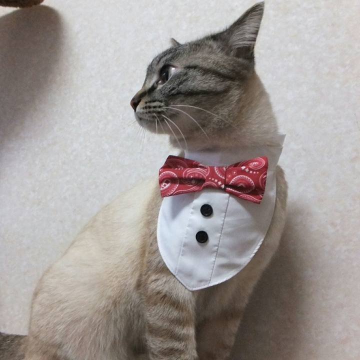 B5e973e5 3d45 4dfb b655 a4eb9483b210