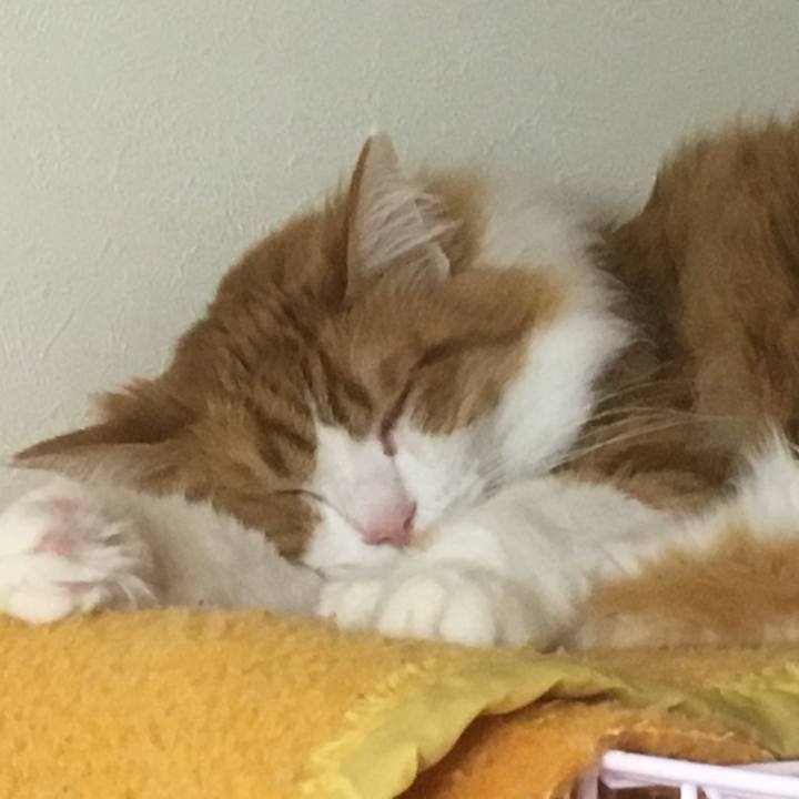 B5e9a911 906e 4205 859c 5a29fac29622