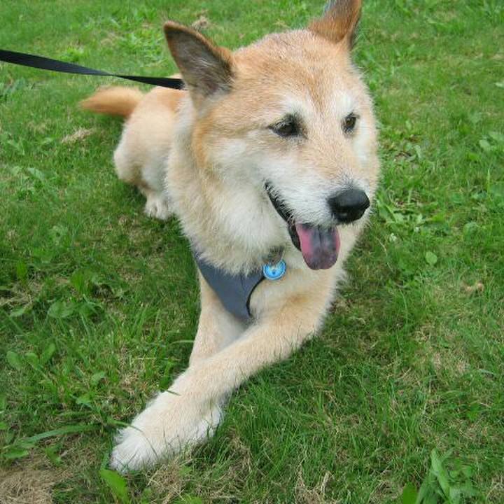 B5e9ab5d 9fe6 4e67 b073 15d67be31d39