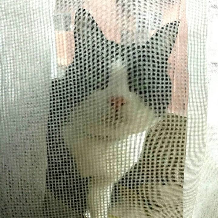 B5ea7895 e47a 46a9 abe6 a185460ff6fb