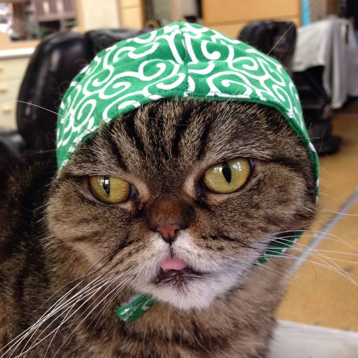 B5ead4e2 da23 4a31 adf9 97bcd43319db