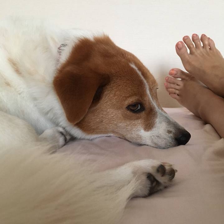 B5eb9614 fc52 4d09 bf3e 13cf57f5308c