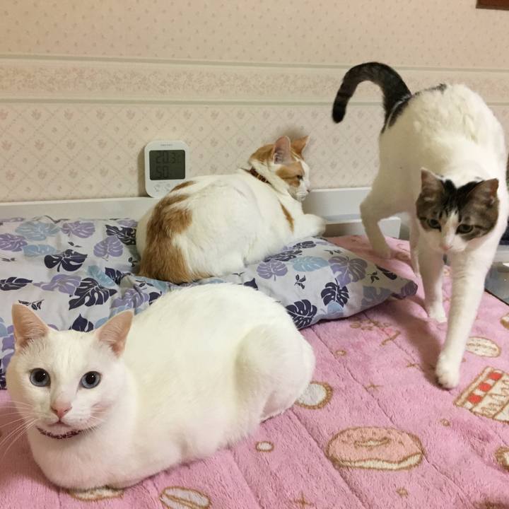 B5ed6c06 25ca 4237 aaea 4b8649211dfe