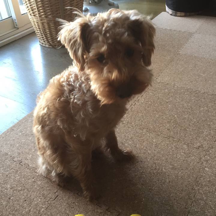 B5ed76da 102a 4e0d 9964 95fc330b9bd0