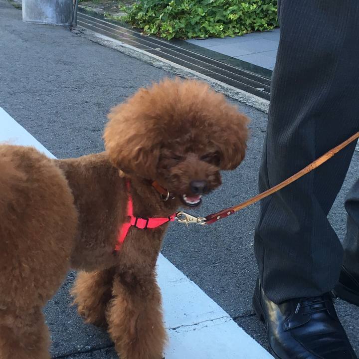 B5ee252a 15f7 4ca3 9392 73a4bc319df6