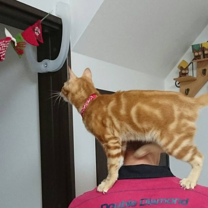 B5eeacbc 7b0f 49fb 8068 15691788ccb4