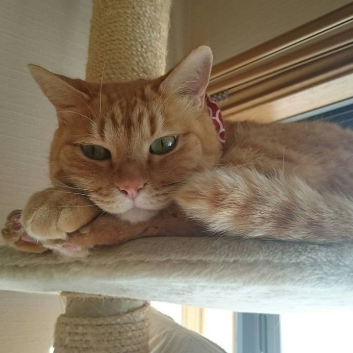 B5eece60 5b1b 4fcb 88fc 89fb342669bc