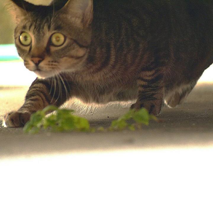 B5ef6f6a e31d 40d8 a9bb 8e2dae61d000