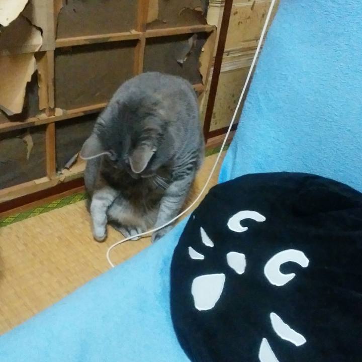 B5f032d4 c4f6 480e 8a5a 0f05a3202e78