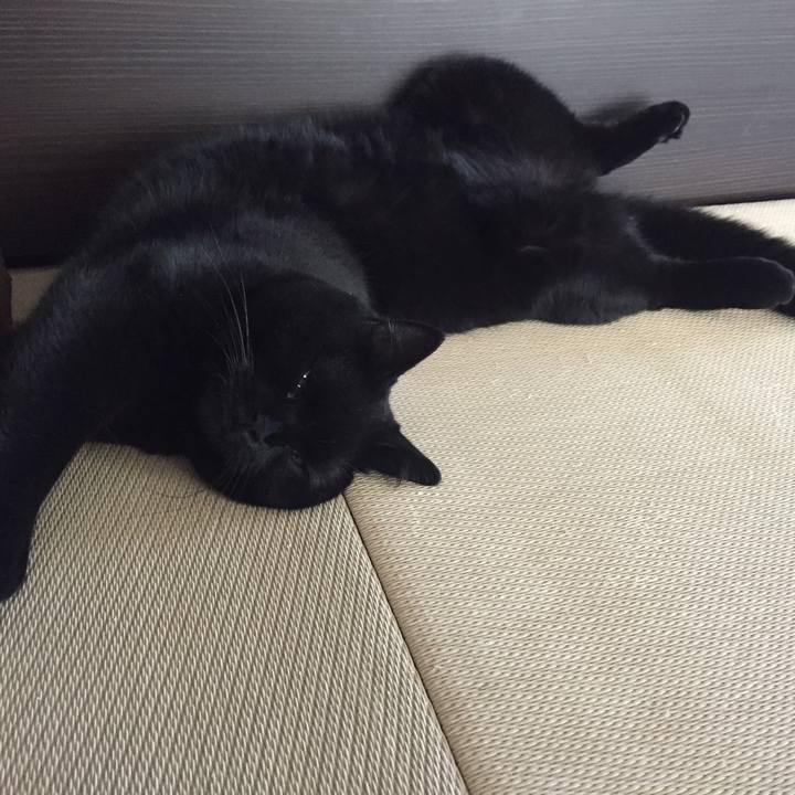 B5f08cdb f3cd 47f4 8649 247f16bfc39b