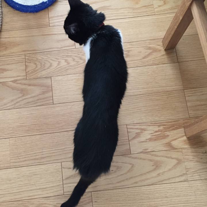 B5f0c2b3 7d51 4a9a b892 052c0ffcf164